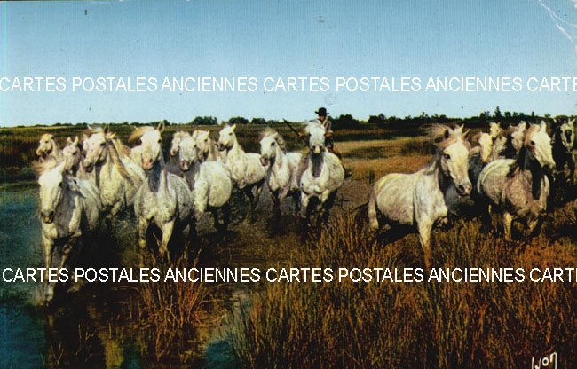 Cartes postales anciennes > CARTES POSTALES > carte postale ancienne > cartes-postales-ancienne.com