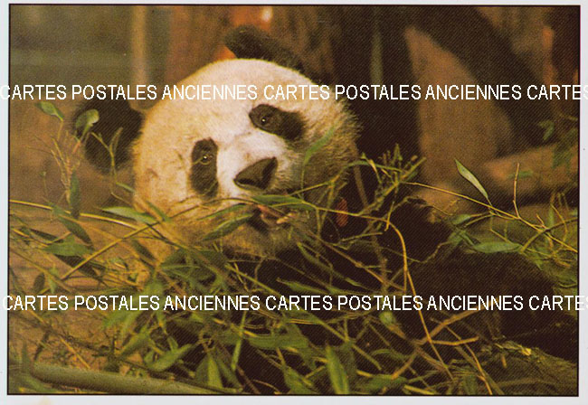 Cartes postales anciennes > CARTES POSTALES > carte postale ancienne > cartes-postales-ancienne.com