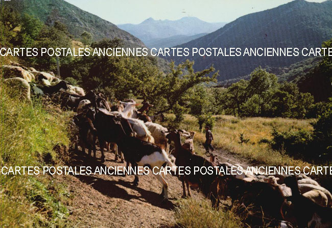 Cartes postales anciennes > CARTES POSTALES > carte postale ancienne > cartes-postales-ancienne.com