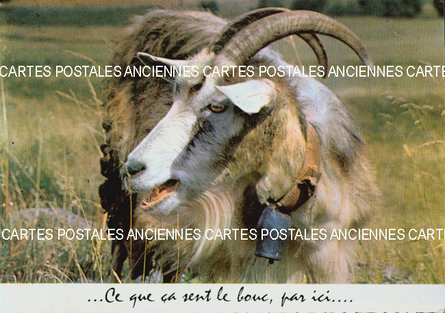 Cartes postales anciennes > CARTES POSTALES > carte postale ancienne > cartes-postales-ancienne.com