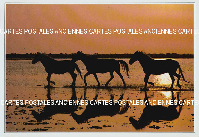 Cartes postales anciennes > CARTES POSTALES > carte postale ancienne > cartes-postales-ancienne.com