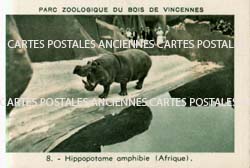 Cartes postales anciennes > CARTES POSTALES > carte postale ancienne > cartes-postales-ancienne.com