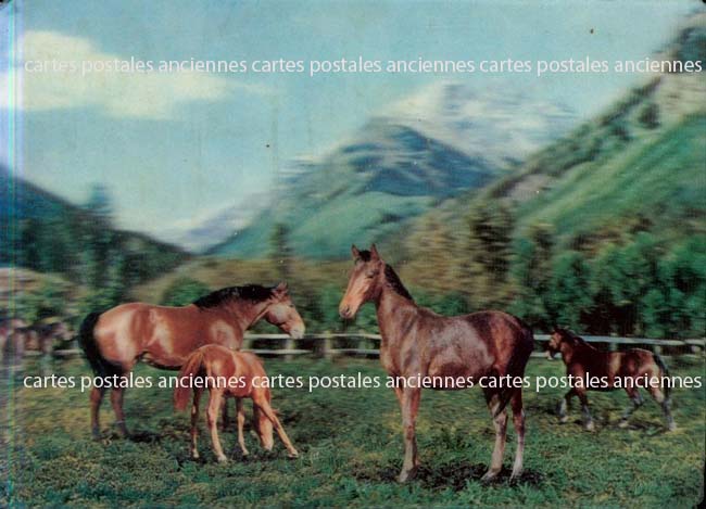 Cartes postales anciennes > CARTES POSTALES > carte postale ancienne > cartes-postales-ancienne.com