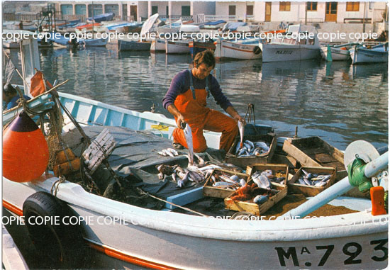 Cartes postales anciennes > CARTES POSTALES > carte postale ancienne > cartes-postales-ancienne.com Mer