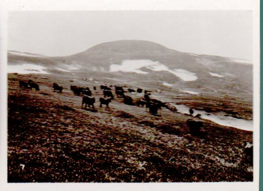 Cartes postales anciennes > CARTES POSTALES > carte postale ancienne > cartes-postales-ancienne.com