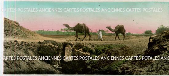 Cartes postales anciennes > CARTES POSTALES > carte postale ancienne > cartes-postales-ancienne.com Egypte