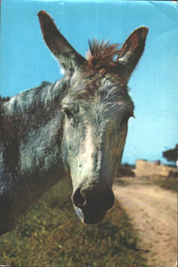 Cartes postales anciennes > CARTES POSTALES > carte postale ancienne > cartes-postales-ancienne.com Union europeenne Espagne