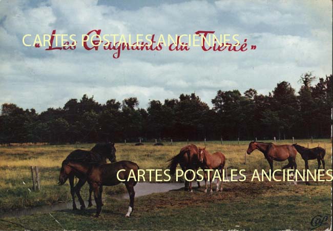 Cartes postales anciennes > CARTES POSTALES > carte postale ancienne > cartes-postales-ancienne.com