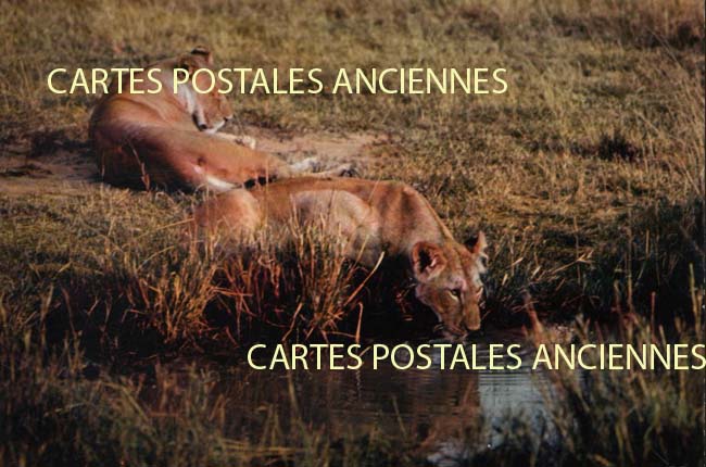 Cartes postales anciennes > CARTES POSTALES > carte postale ancienne > cartes-postales-ancienne.com