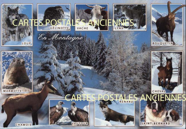 Cartes postales anciennes > CARTES POSTALES > carte postale ancienne > cartes-postales-ancienne.com