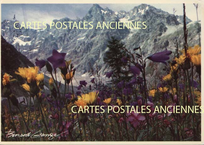 Cartes postales anciennes > CARTES POSTALES > carte postale ancienne > cartes-postales-ancienne.com