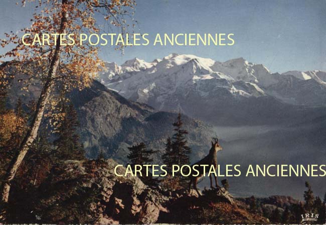 Cartes postales anciennes > CARTES POSTALES > carte postale ancienne > cartes-postales-ancienne.com