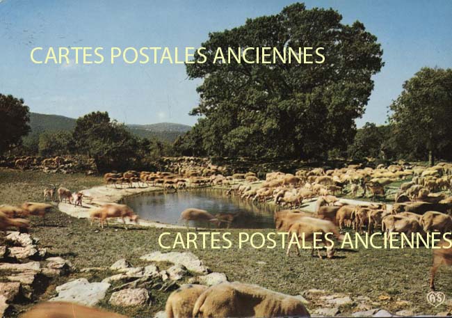 Cartes postales anciennes > CARTES POSTALES > carte postale ancienne > cartes-postales-ancienne.com