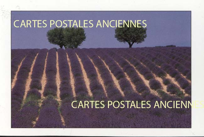 Cartes postales anciennes > CARTES POSTALES > carte postale ancienne > cartes-postales-ancienne.com