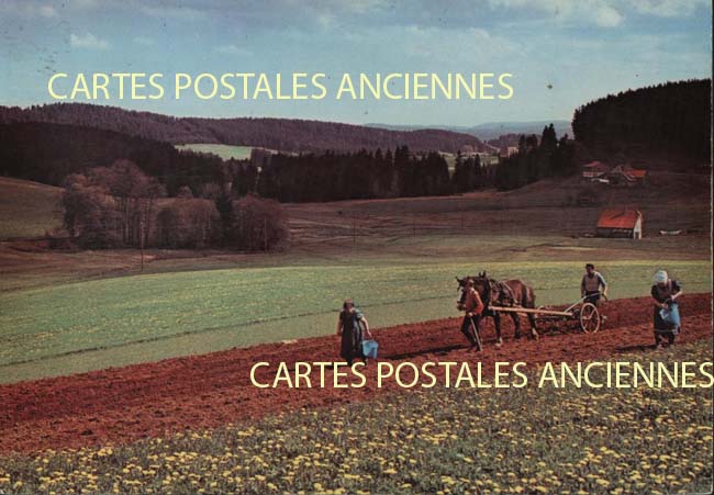 Cartes postales anciennes > CARTES POSTALES > carte postale ancienne > cartes-postales-ancienne.com