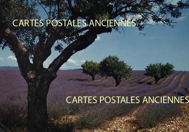 Cartes postales anciennes > CARTES POSTALES > carte postale ancienne > cartes-postales-ancienne.com