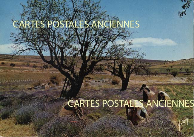 Cartes postales anciennes > CARTES POSTALES > carte postale ancienne > cartes-postales-ancienne.com