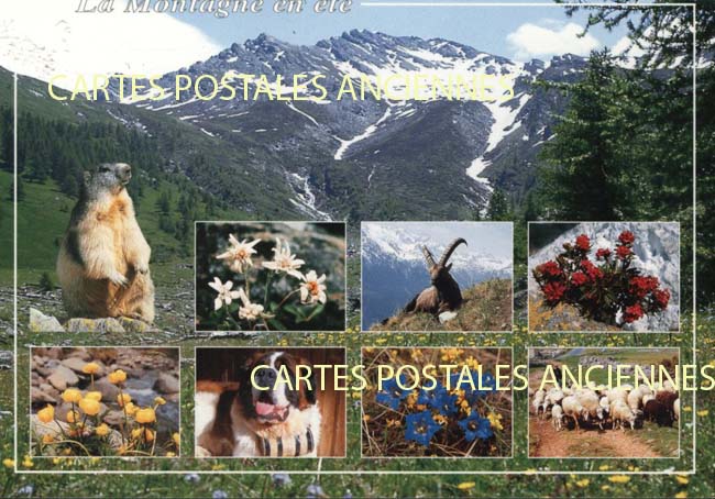 Cartes postales anciennes > CARTES POSTALES > carte postale ancienne > cartes-postales-ancienne.com