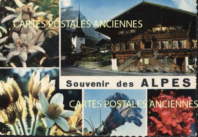 Cartes postales anciennes > CARTES POSTALES > carte postale ancienne > cartes-postales-ancienne.com