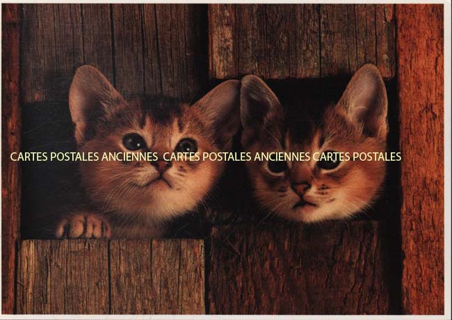 Cartes postales anciennes > CARTES POSTALES > carte postale ancienne > cartes-postales-ancienne.com