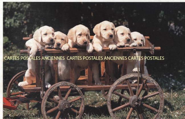 Cartes postales anciennes > CARTES POSTALES > carte postale ancienne > cartes-postales-ancienne.com