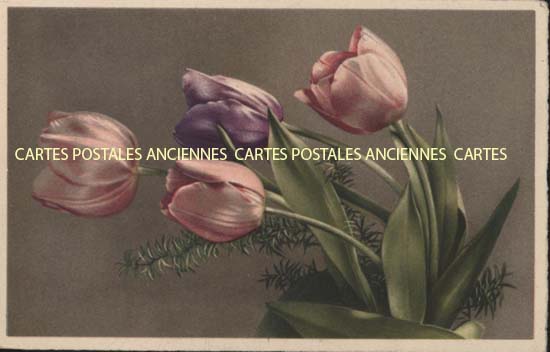 Cartes postales anciennes > CARTES POSTALES > carte postale ancienne > cartes-postales-ancienne.com Fleurs