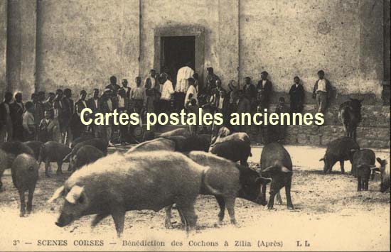 Cartes postales anciennes > CARTES POSTALES > carte postale ancienne > cartes-postales-ancienne.com