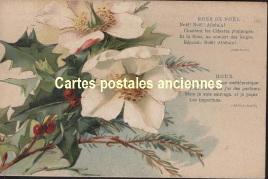 Cartes postales anciennes > CARTES POSTALES > carte postale ancienne > cartes-postales-ancienne.com Fleurs