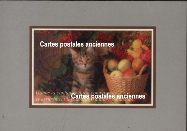 Cartes postales anciennes > CARTES POSTALES > carte postale ancienne > cartes-postales-ancienne.com Animaux Chats