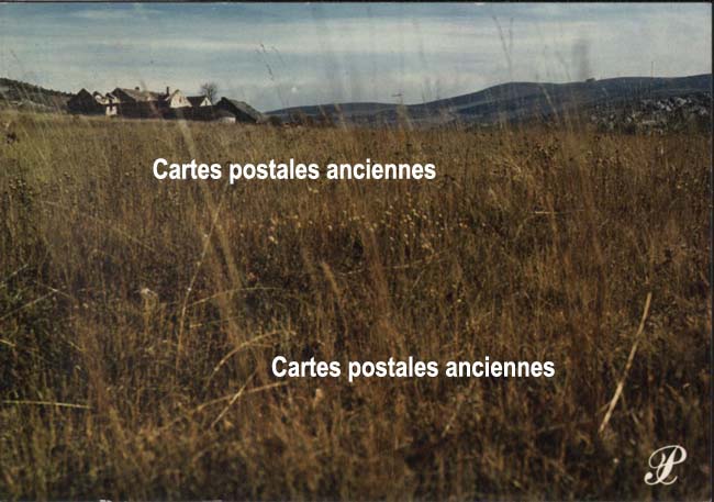 Cartes postales anciennes > CARTES POSTALES > carte postale ancienne > cartes-postales-ancienne.com Paysage