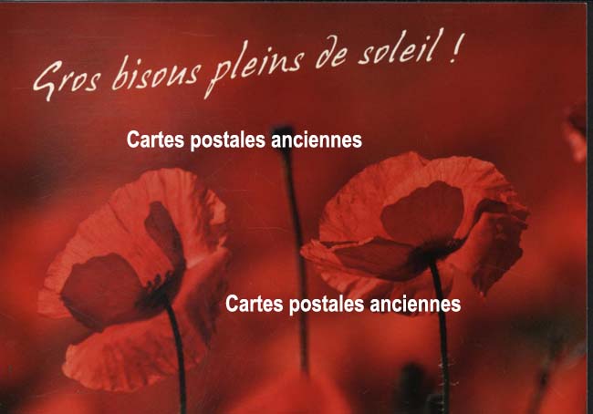 Cartes postales anciennes > CARTES POSTALES > carte postale ancienne > cartes-postales-ancienne.com Fleurs