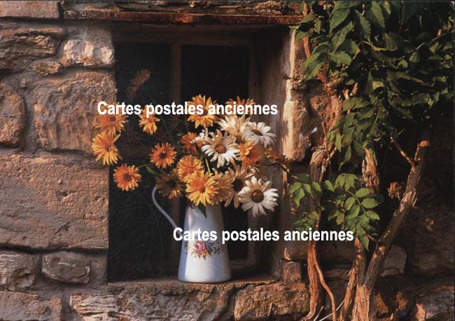 Cartes postales anciennes > CARTES POSTALES > carte postale ancienne > cartes-postales-ancienne.com Fleurs