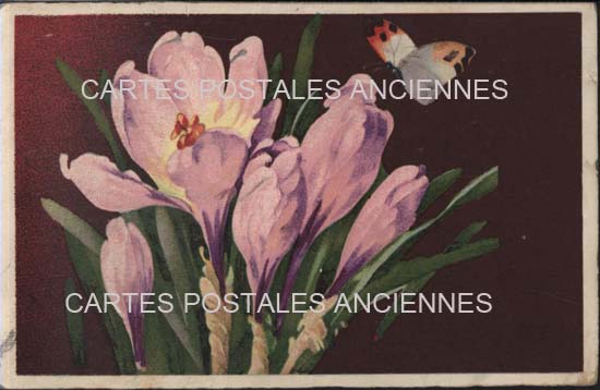 Cartes postales anciennes > CARTES POSTALES > carte postale ancienne > cartes-postales-ancienne.com Fleurs