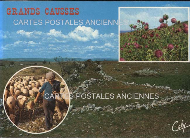 Cartes postales anciennes > CARTES POSTALES > carte postale ancienne > cartes-postales-ancienne.com Paysage