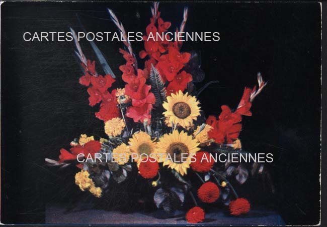 Cartes postales anciennes > CARTES POSTALES > carte postale ancienne > cartes-postales-ancienne.com Fleurs