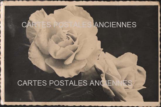 Cartes postales anciennes > CARTES POSTALES > carte postale ancienne > cartes-postales-ancienne.com Fleurs