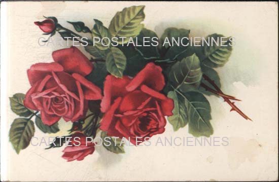 Cartes postales anciennes > CARTES POSTALES > carte postale ancienne > cartes-postales-ancienne.com Fleurs Briancon