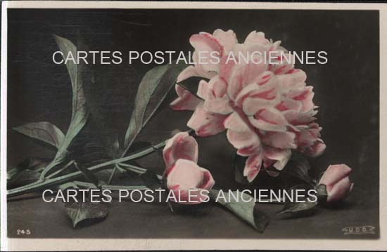 Cartes postales anciennes > CARTES POSTALES > carte postale ancienne > cartes-postales-ancienne.com Fleurs