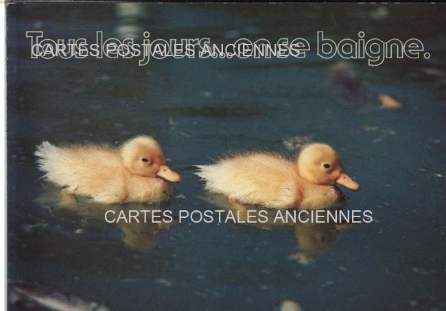 Cartes postales anciennes > CARTES POSTALES > carte postale ancienne > cartes-postales-ancienne.com Humour