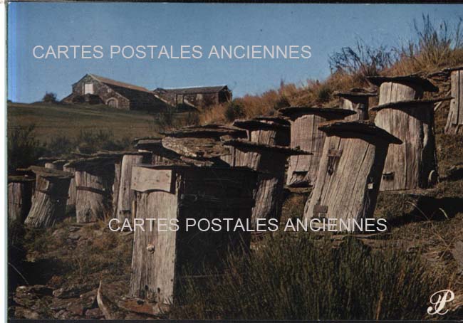 Cartes postales anciennes > CARTES POSTALES > carte postale ancienne > cartes-postales-ancienne.com Paysage