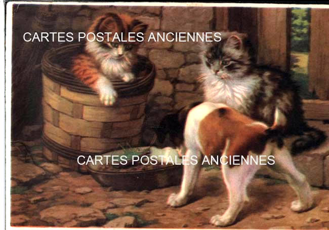 Cartes postales anciennes > CARTES POSTALES > carte postale ancienne > cartes-postales-ancienne.com Animaux Chats