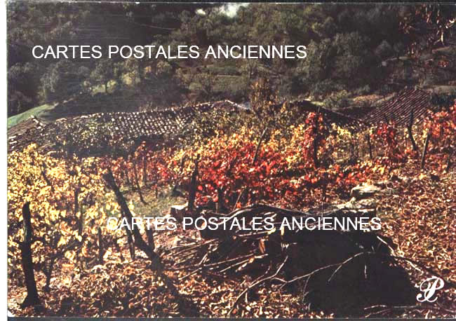 Cartes postales anciennes > CARTES POSTALES > carte postale ancienne > cartes-postales-ancienne.com Paysage