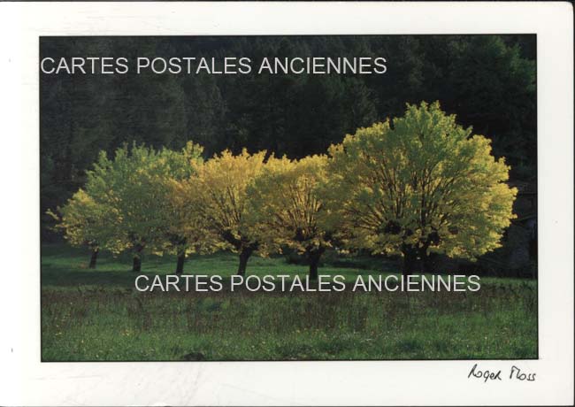 Cartes postales anciennes > CARTES POSTALES > carte postale ancienne > cartes-postales-ancienne.com Paysage