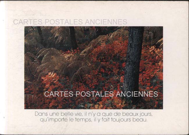 Cartes postales anciennes > CARTES POSTALES > carte postale ancienne > cartes-postales-ancienne.com Paysage