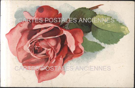 Cartes postales anciennes > CARTES POSTALES > carte postale ancienne > cartes-postales-ancienne.com Fleurs