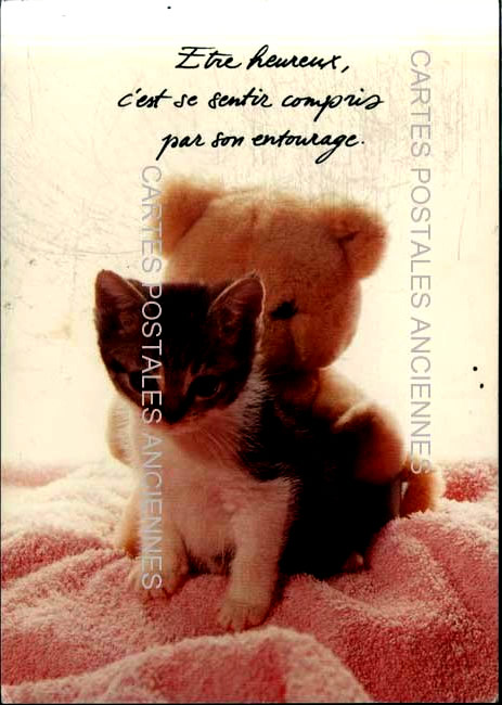 Cartes postales anciennes > CARTES POSTALES > carte postale ancienne > cartes-postales-ancienne.com Animaux Chats