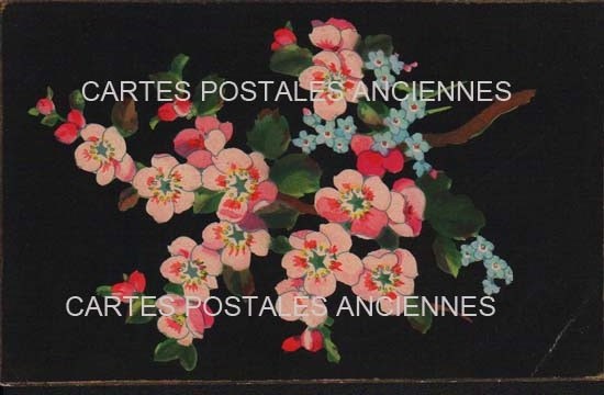 Cartes postales anciennes > CARTES POSTALES > carte postale ancienne > cartes-postales-ancienne.com Fleurs