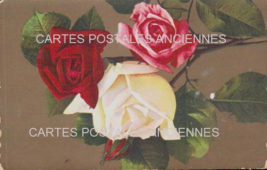 Cartes postales anciennes > CARTES POSTALES > carte postale ancienne > cartes-postales-ancienne.com Fleurs