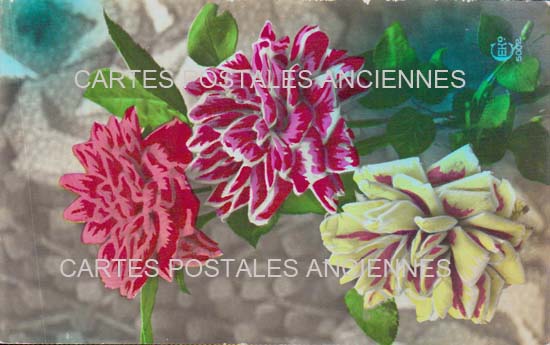 Cartes postales anciennes > CARTES POSTALES > carte postale ancienne > cartes-postales-ancienne.com Fleurs