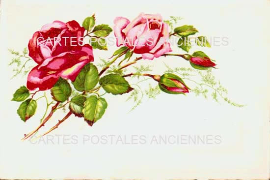 Cartes postales anciennes > CARTES POSTALES > carte postale ancienne > cartes-postales-ancienne.com Fleurs